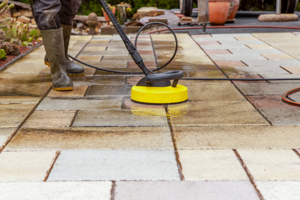 Best Animal Enclosure Cleaning  in Fort Recovery, OH